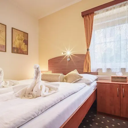 Francis Spa Hotel Františkovy Lázně
