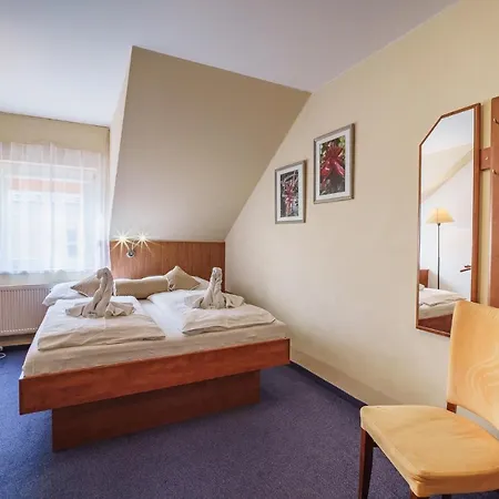 Hotel Francis Spa Hotel 3*
