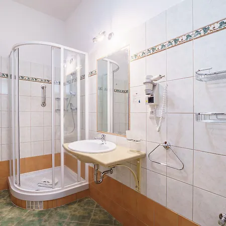 Hotel Francis Františkovy Lázně