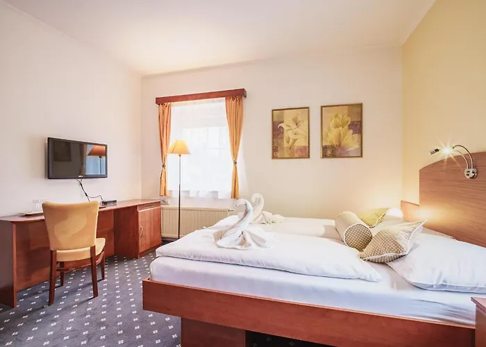 Francis Spa Hotel Отель 3*