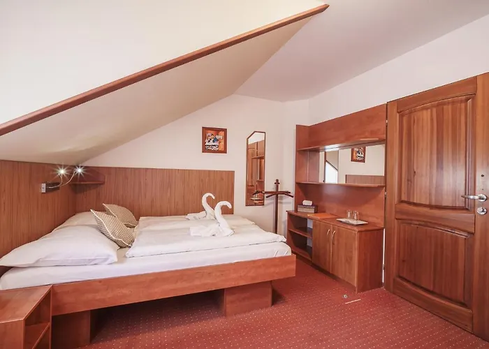Отель Francis Spa Hotel 3*