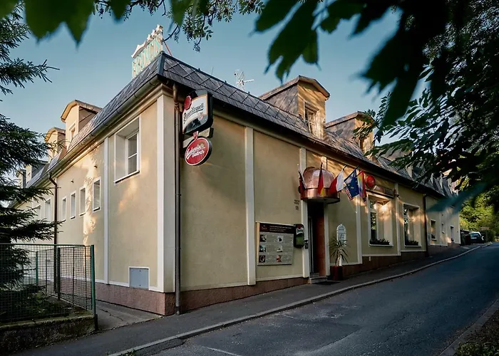 Отель Francis Spa Hotel 3*